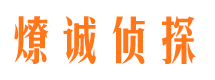 镇平侦探